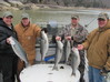 (03/09/2011) - Nice Striped Bass